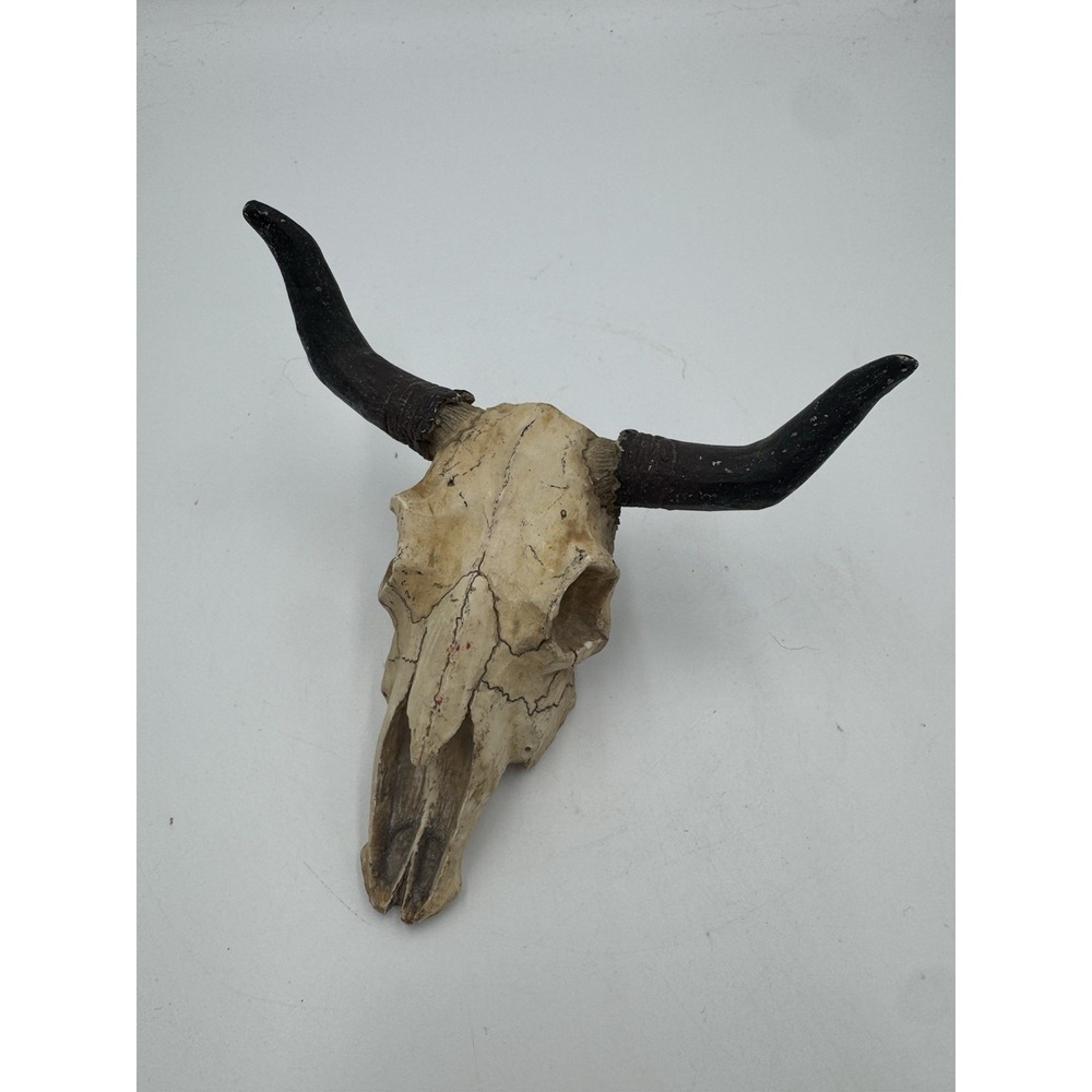 Small Resin Faux Skull With Horns